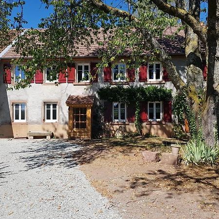 Bed and Breakfast Le Jardin Des Gouttes Rougegoutte Exterior foto